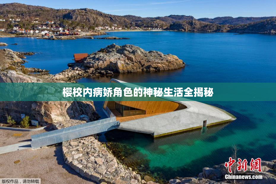 樱校内病娇角色的神秘生活全揭秘