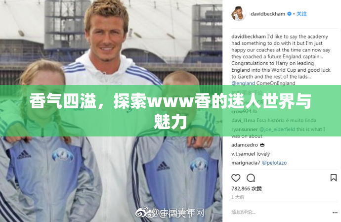 香气四溢，探索www香的迷人世界与魅力