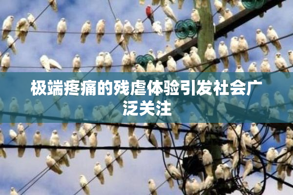 极端疼痛的残虐体验引发社会广泛关注