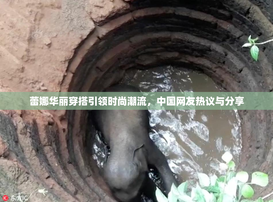 蕾娜华丽穿搭引领时尚潮流，中国网友热议与分享