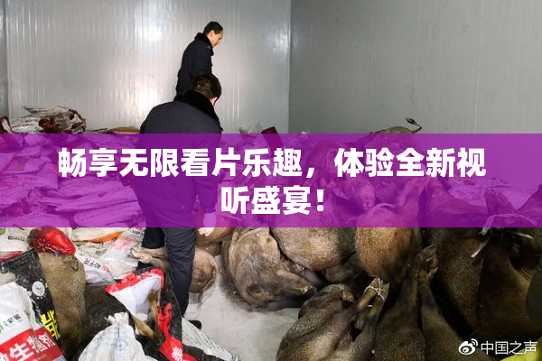 畅享无限看片乐趣，体验全新视听盛宴！