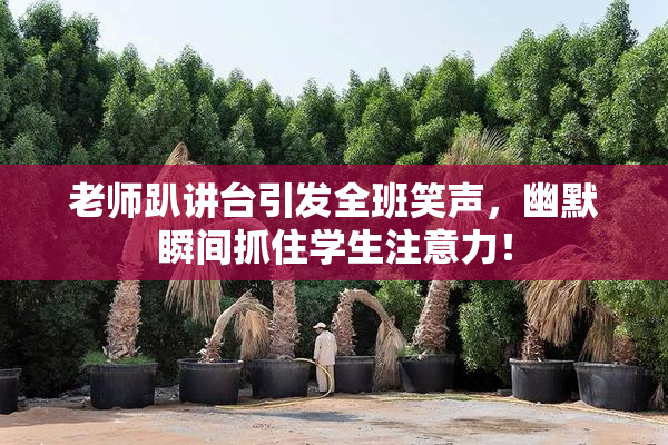老师趴讲台引发全班笑声，幽默瞬间抓住学生注意力！