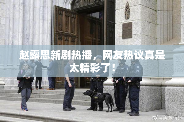 赵露思新剧热播，网友热议真是太精彩了！