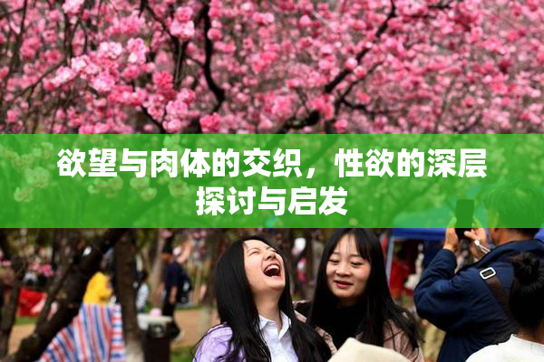 欲望与肉体的交织，性欲的深层探讨与启发