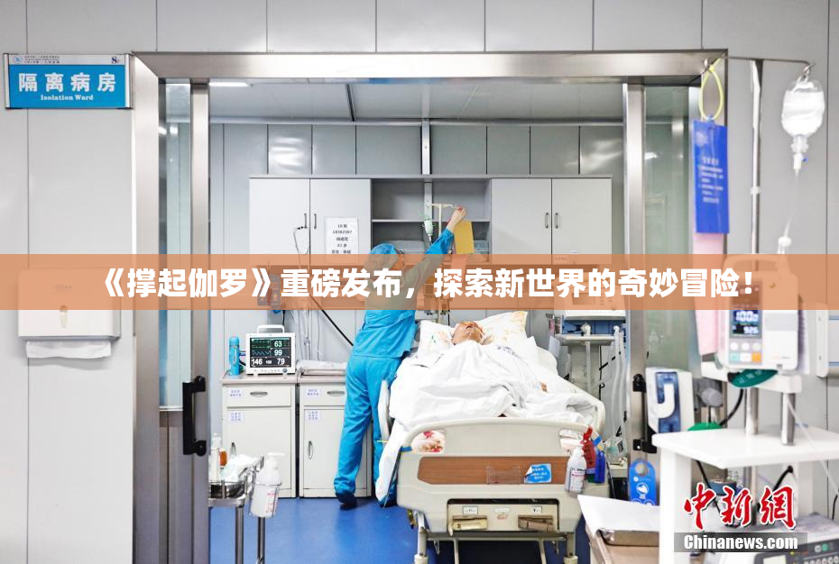 《撑起伽罗》重磅发布，探索新世界的奇妙冒险！