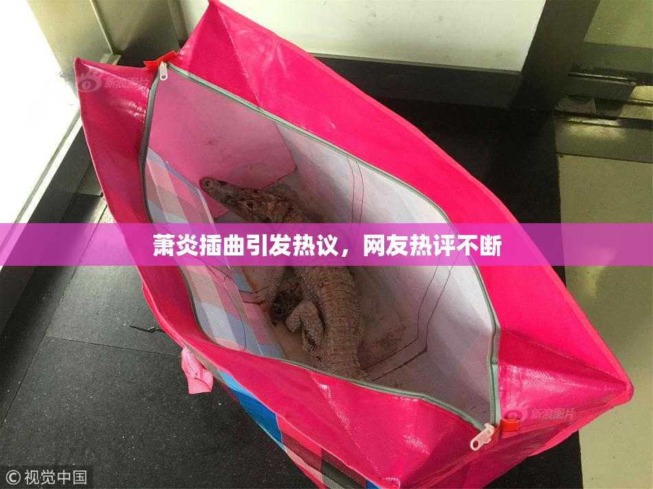 萧炎插曲引发热议，网友热评不断