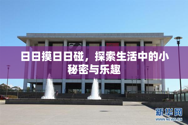 日日摸日日碰，探索生活中的小秘密与乐趣