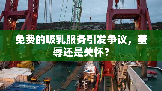 免费的吸乳服务引发争议，羞辱还是关怀？