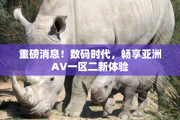 重磅消息！数码时代，畅享亚洲AV一区二新体验