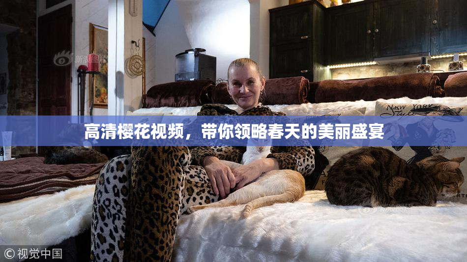 高清樱花视频，带你领略春天的美丽盛宴