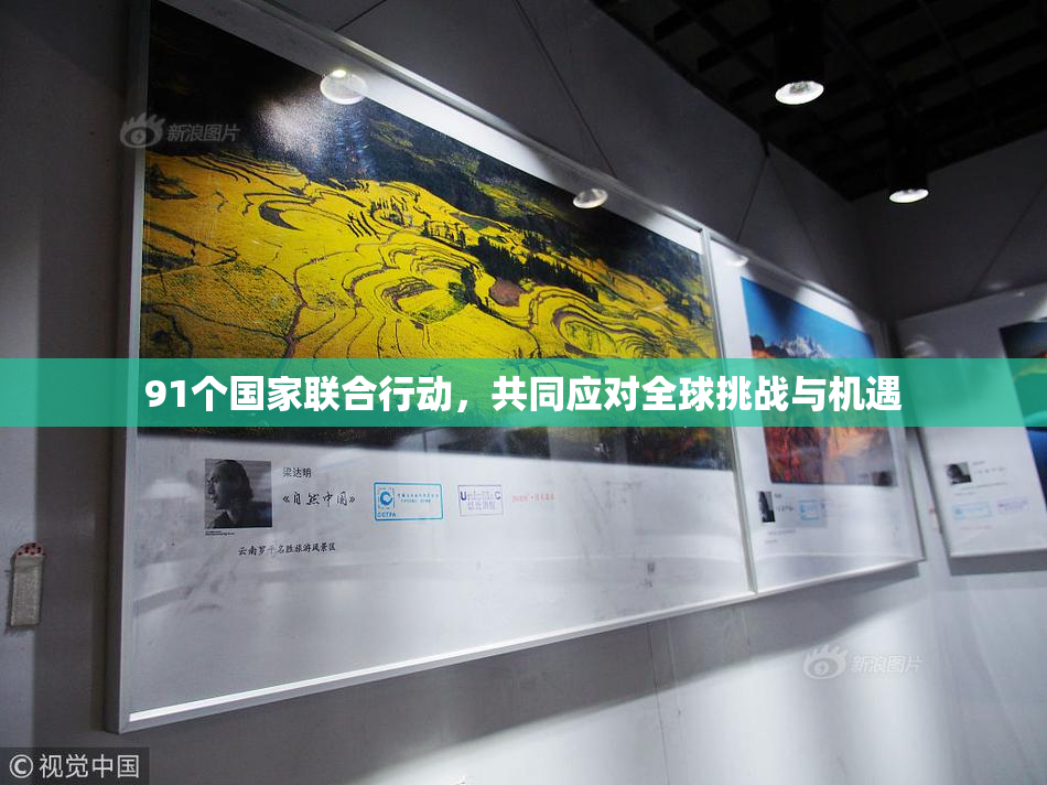 91个国家联合行动，共同应对全球挑战与机遇
