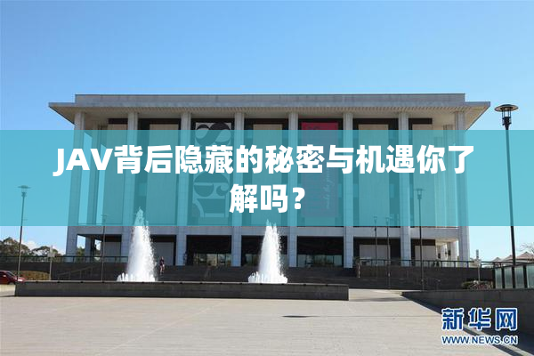 JAV背后隐藏的秘密与机遇你了解吗？