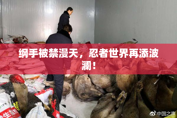 纲手被禁漫天，忍者世界再添波澜！