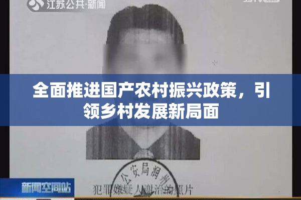 全面推进国产农村振兴政策，引领乡村发展新局面