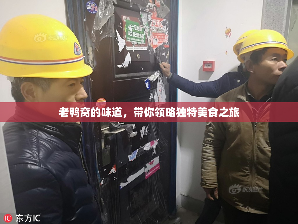 老鸭窝的味道，带你领略独特美食之旅