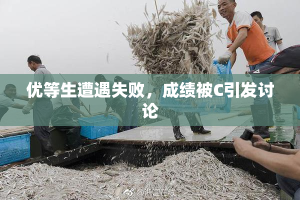 优等生遭遇失败，成绩被C引发讨论