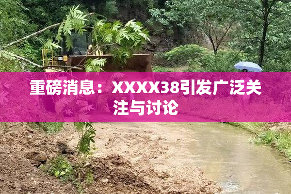 重磅消息：XXXX38引发广泛关注与讨论