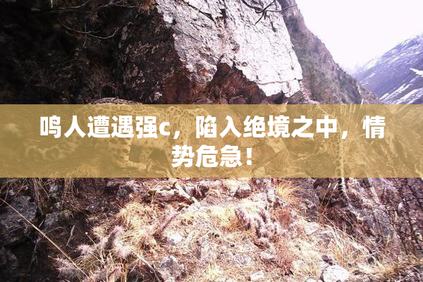 鸣人遭遇强c，陷入绝境之中，情势危急！