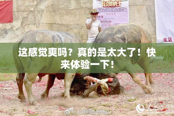 这感觉爽吗？真的是太大了！快来体验一下！