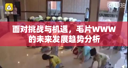 面对挑战与机遇，毛片WWW的未来发展趋势分析