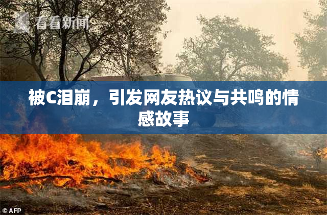 被C泪崩，引发网友热议与共鸣的情感故事
