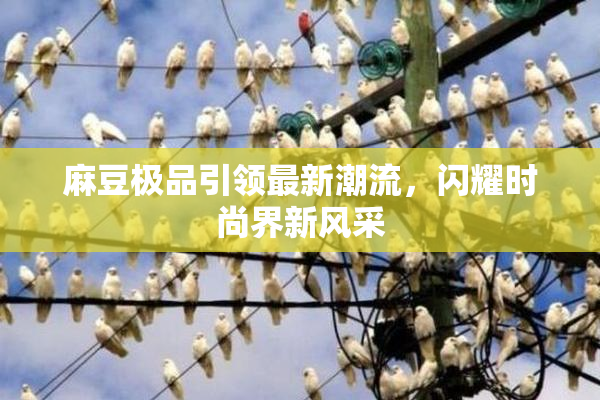 麻豆极品引领最新潮流，闪耀时尚界新风采