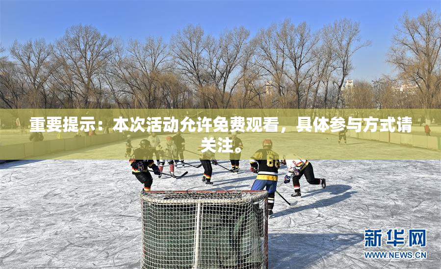 重要提示：本次活动允许免费观看，具体参与方式请关注。