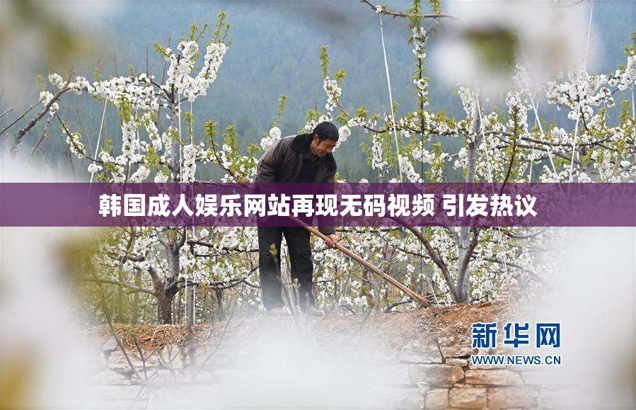 韩国成人娱乐网站再现无码视频 引发热议