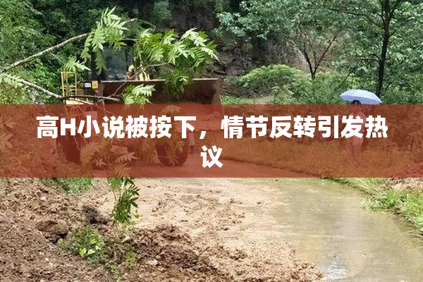高H小说被按下，情节反转引发热议