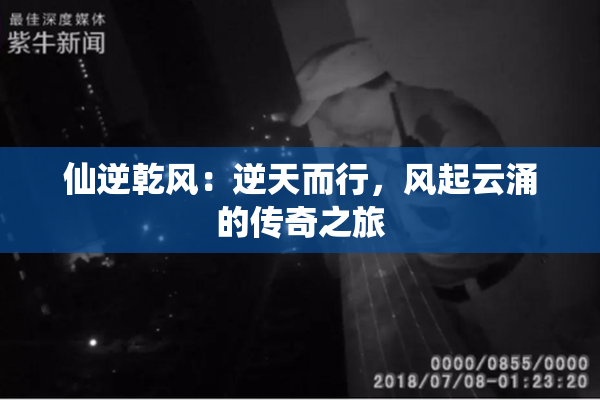 仙逆乾风：逆天而行，风起云涌的传奇之旅
