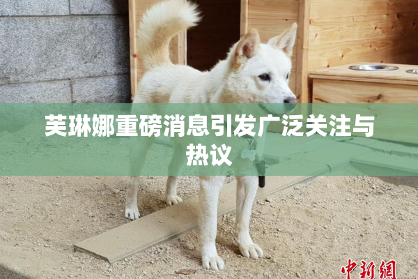 芙琳娜重磅消息引发广泛关注与热议