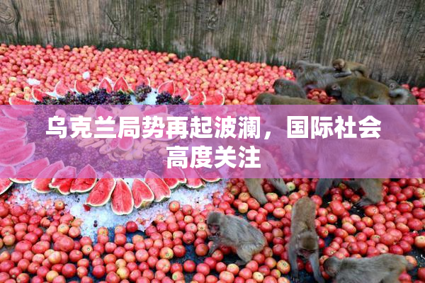乌克兰局势再起波澜，国际社会高度关注