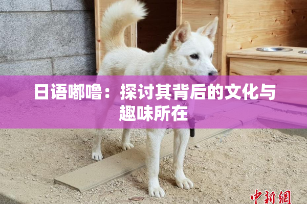 日语嘟噜：探讨其背后的文化与趣味所在