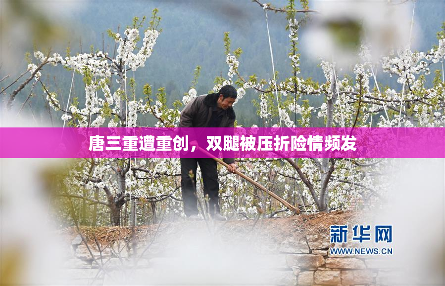唐三重遭重创，双腿被压折险情频发