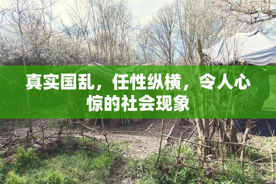 真实国乱，任性纵横，令人心惊的社会现象