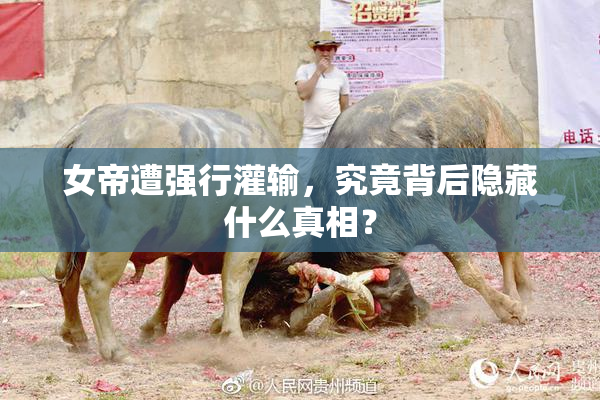 女帝遭强行灌输，究竟背后隐藏什么真相？