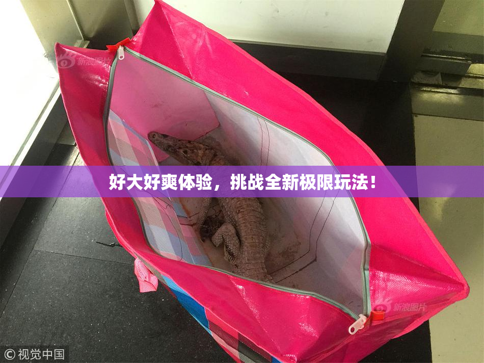好大好爽体验，挑战全新极限玩法！