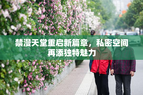 禁漫天堂重启新篇章，私密空间再添独特魅力