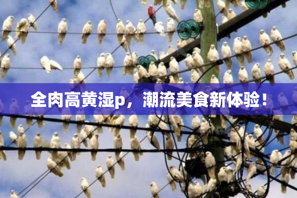 全肉高黄湿p，潮流美食新体验！