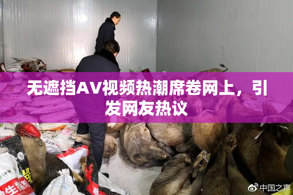 无遮挡AV视频热潮席卷网上，引发网友热议