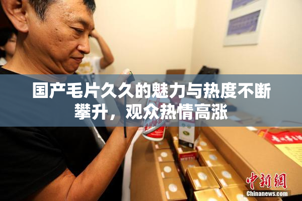 国产毛片久久的魅力与热度不断攀升，观众热情高涨