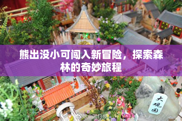 熊出没小可闯入新冒险，探索森林的奇妙旅程