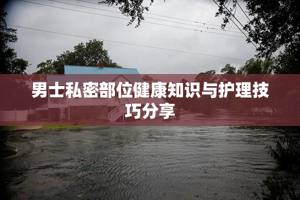 男士私密部位健康知识与护理技巧分享