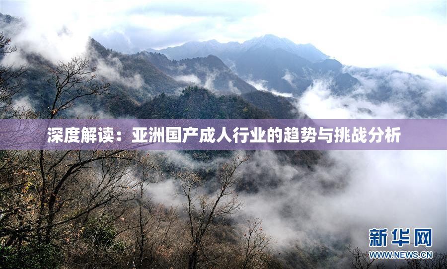 深度解读：亚洲国产成人行业的趋势与挑战分析