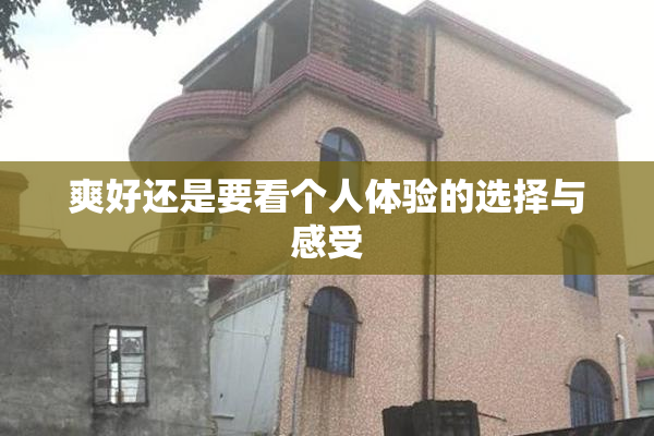 爽好还是要看个人体验的选择与感受
