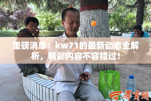 重磅消息：kw71的最新动态全解析，精彩内容不容错过！
