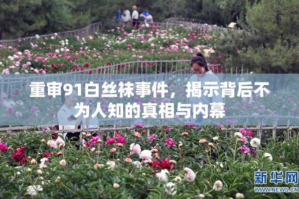 重审91白丝袜事件，揭示背后不为人知的真相与内幕