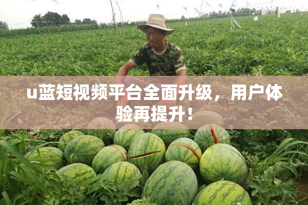 u蓝短视频平台全面升级，用户体验再提升！