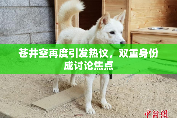 苍井空再度引发热议，双重身份成讨论焦点