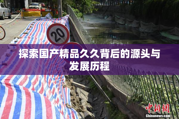 探索国产精品久久背后的源头与发展历程